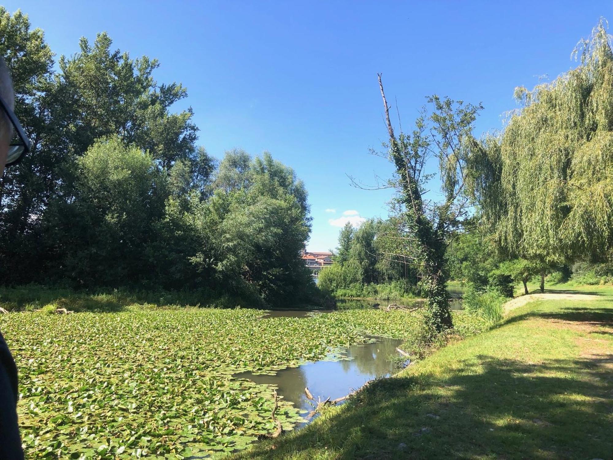 Beautiful Village House Next To Garonne River! Couladere Екстериор снимка