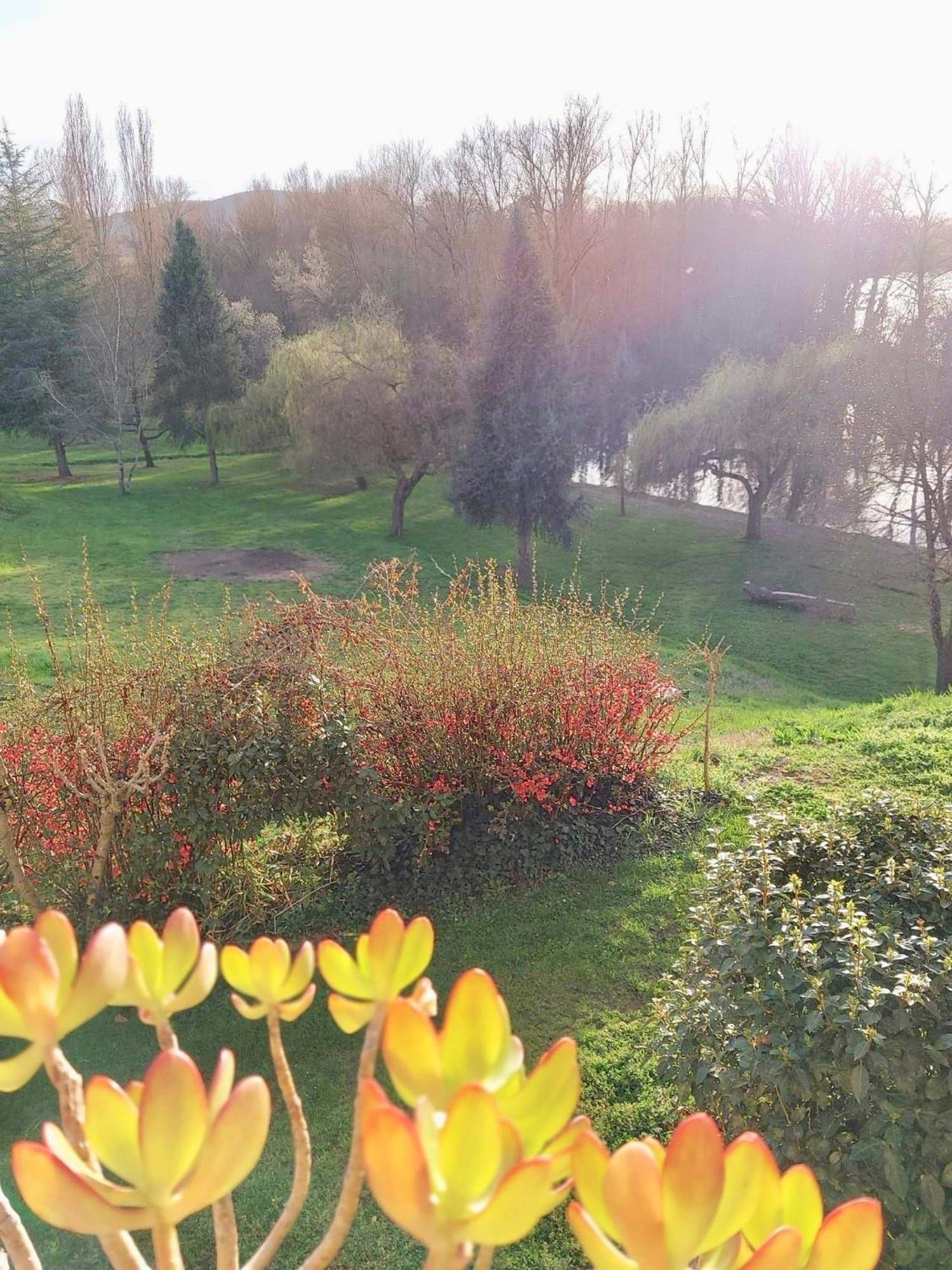 Beautiful Village House Next To Garonne River! Couladere Екстериор снимка